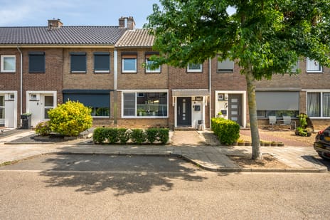 Jan Steenstraat thumbnail