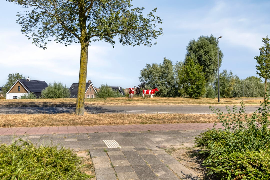 Foto 53 van Schollevaarstraat 94