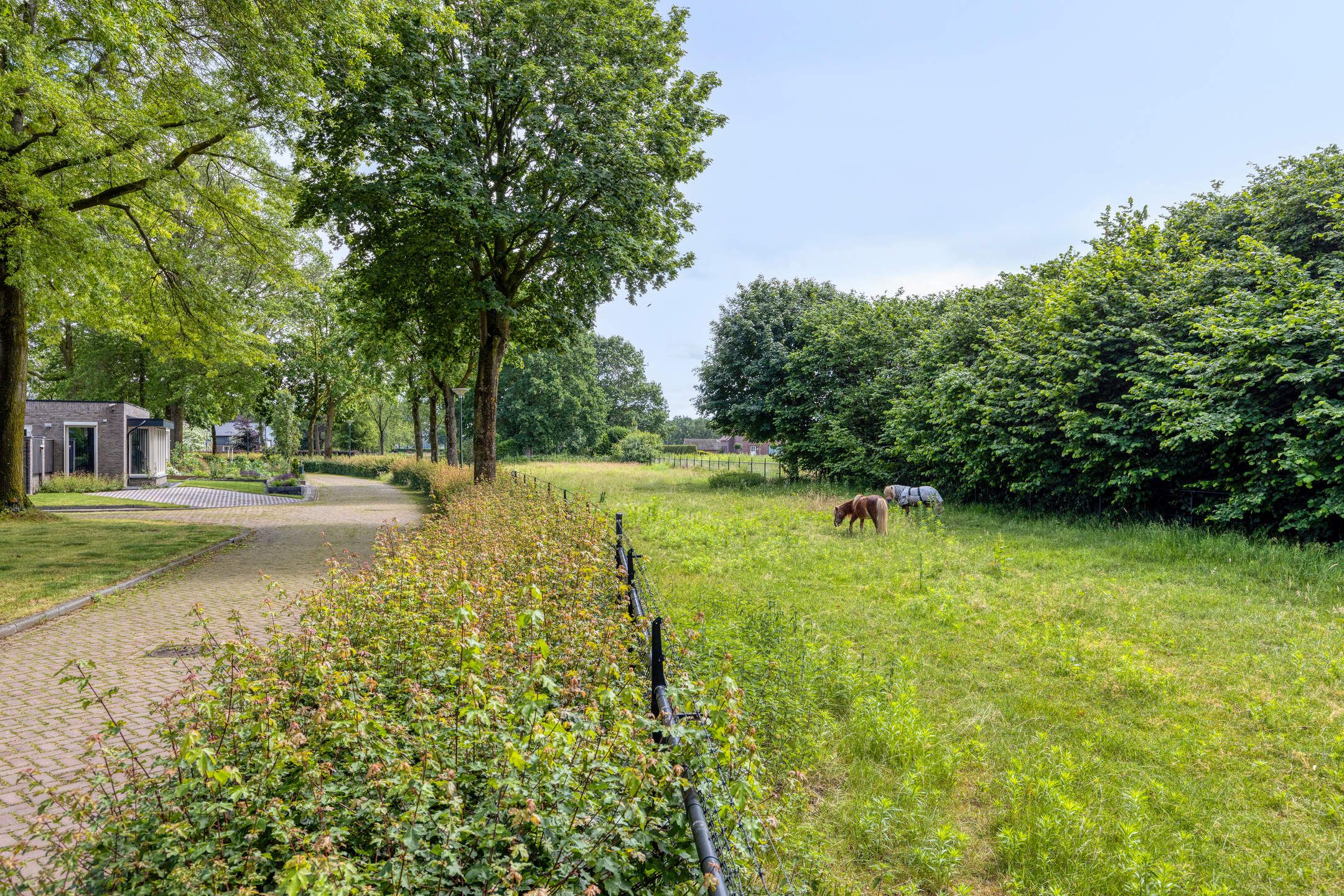 Foto 42 van Leeuweriklaan 35
