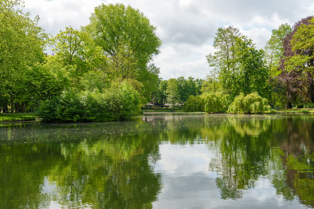 Photo 56 of Rembrandtkade 39