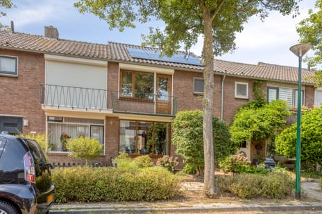 Lod.Napoleonstraat thumbnail