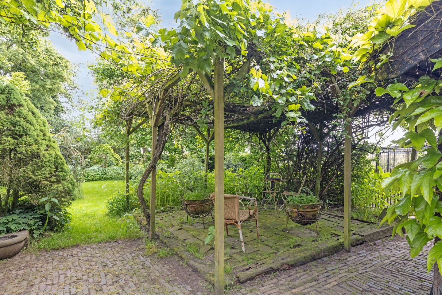 Foto 19 van Rijndijk 29