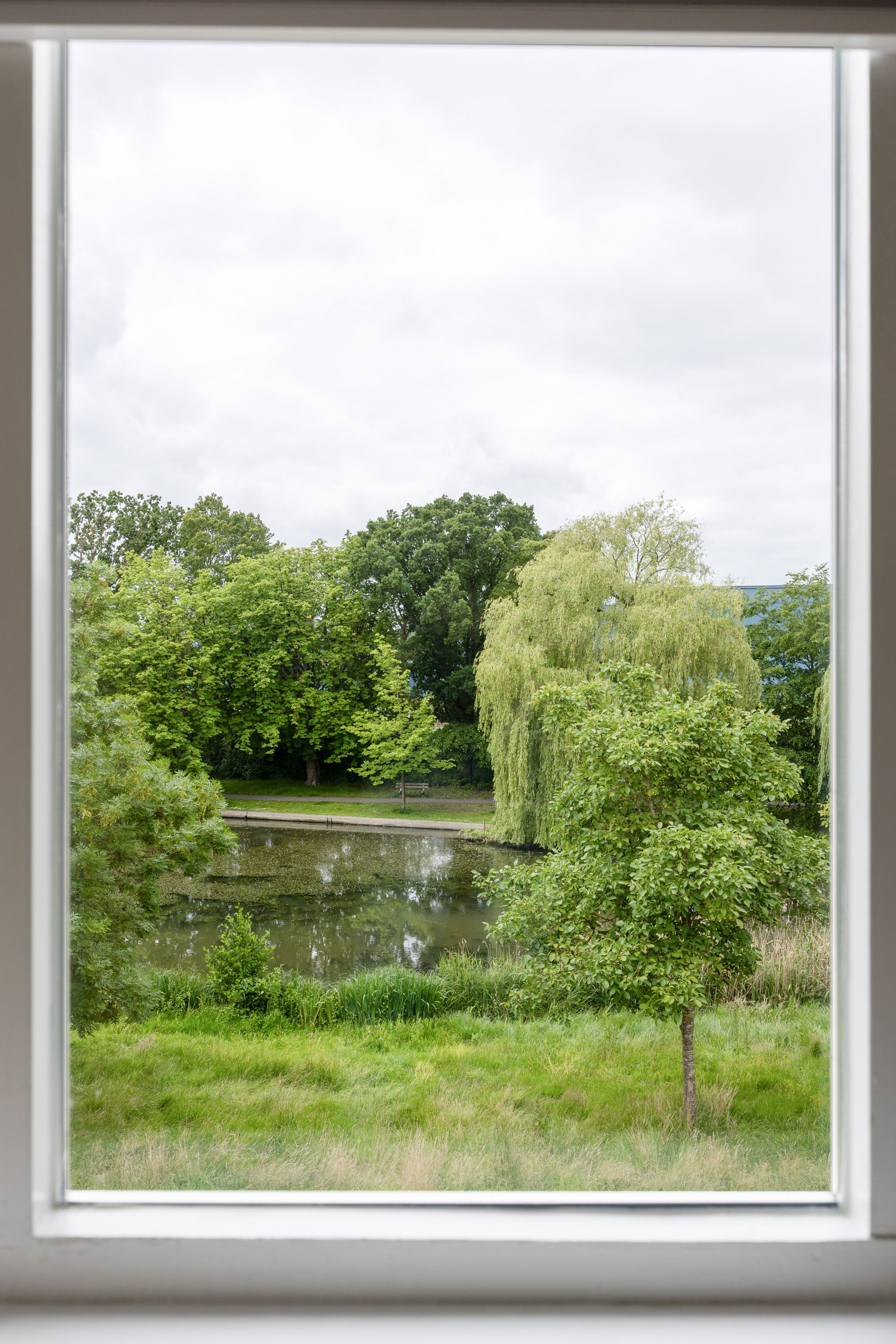 Photo 33 of Adriaan van Ostadestraat 191