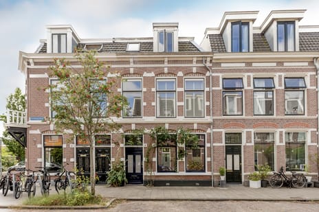 Tetterodestraat thumbnail