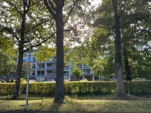 Foto 2 van Beukenhorst 35