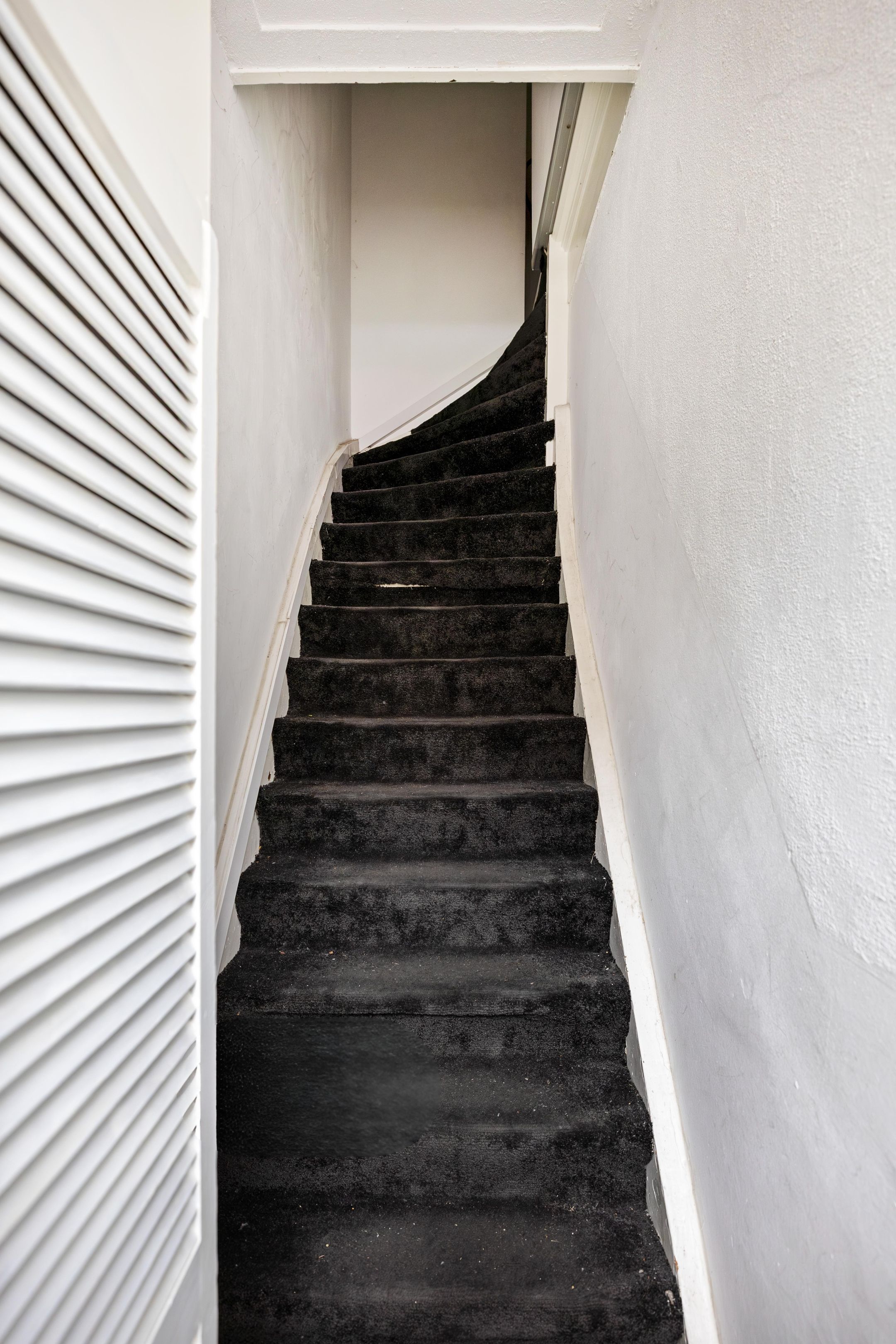 Photo 6 of Anna Paulownastraat 66-A