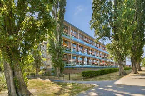 Gijsbrecht van Amstelstraat thumbnail