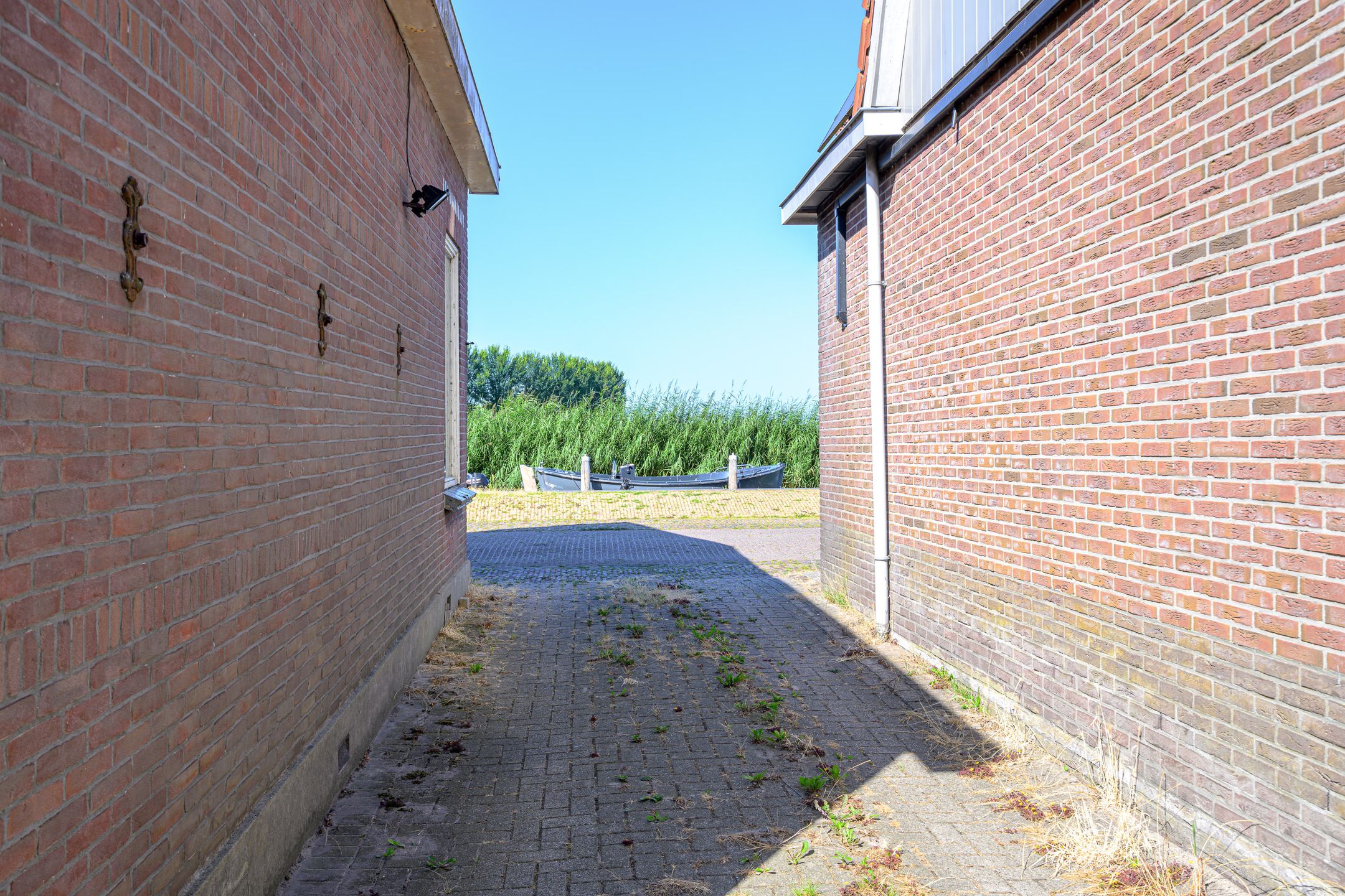 Photo 12 of Kathoek 2