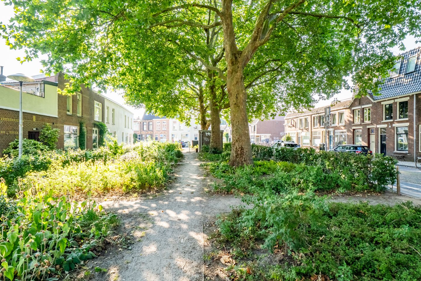Foto 44 van Korenbloemstraat 41