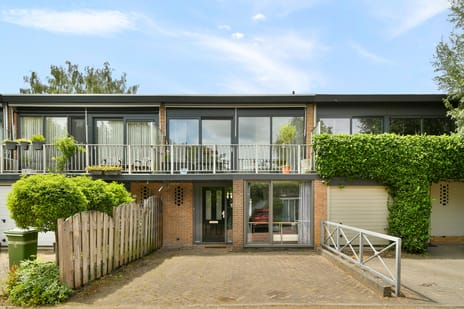 Mauritshof thumbnail
