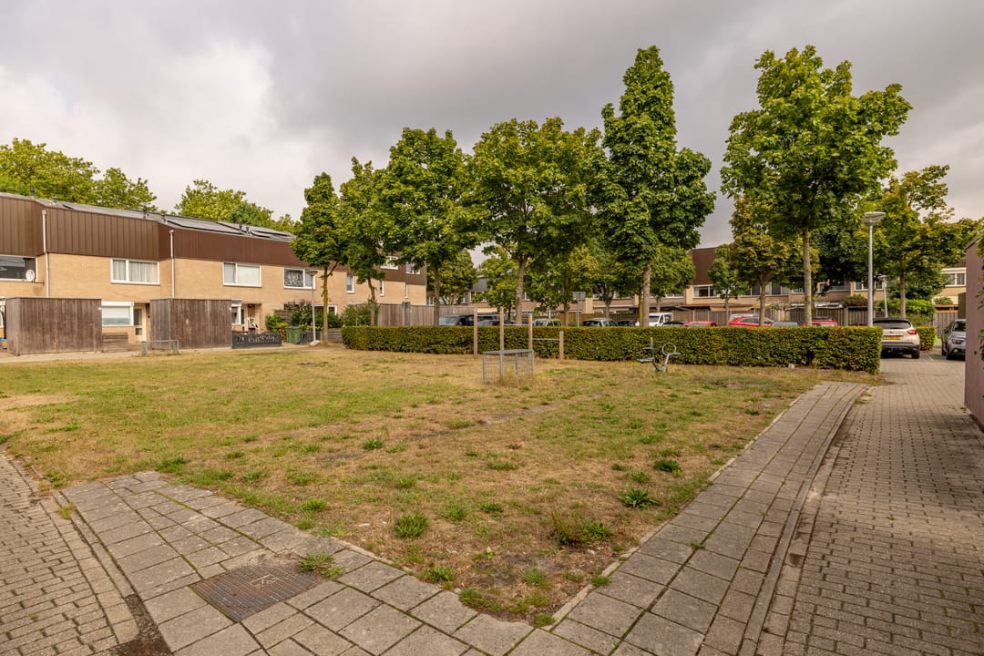 Foto 41 van Regulus 40