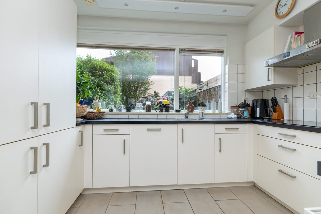 Foto 13 van Regulus 40