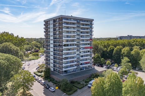 de la Reijstraat thumbnail