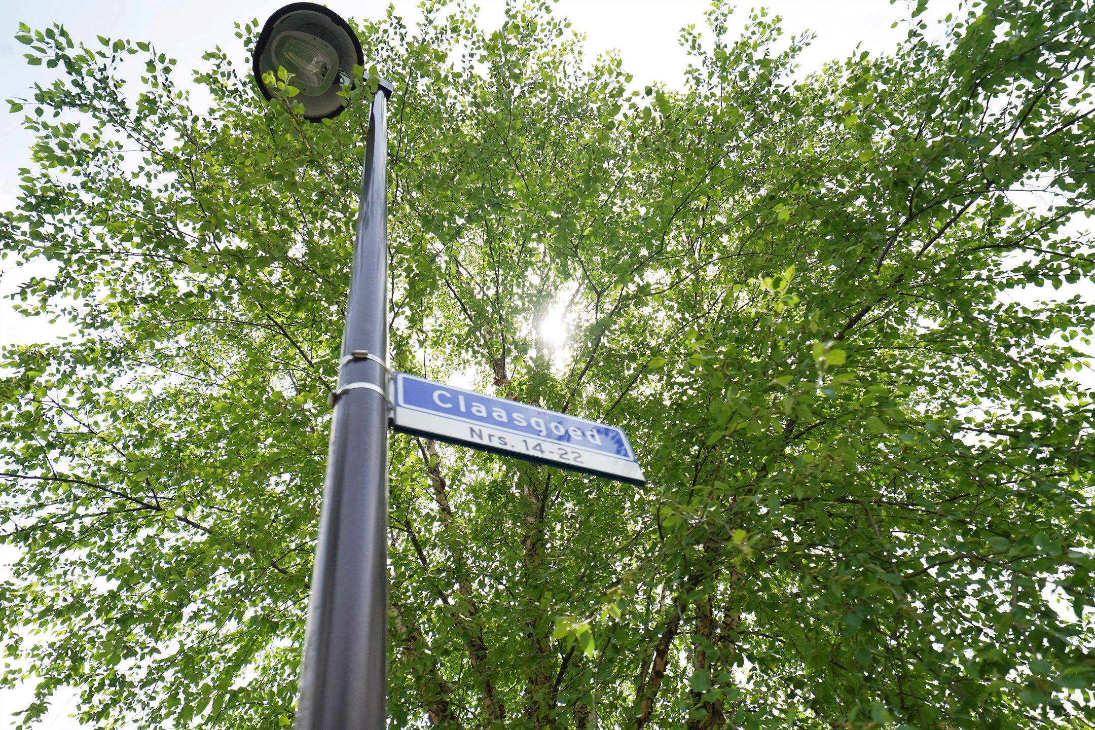 Foto 48 van Claasgoed 18