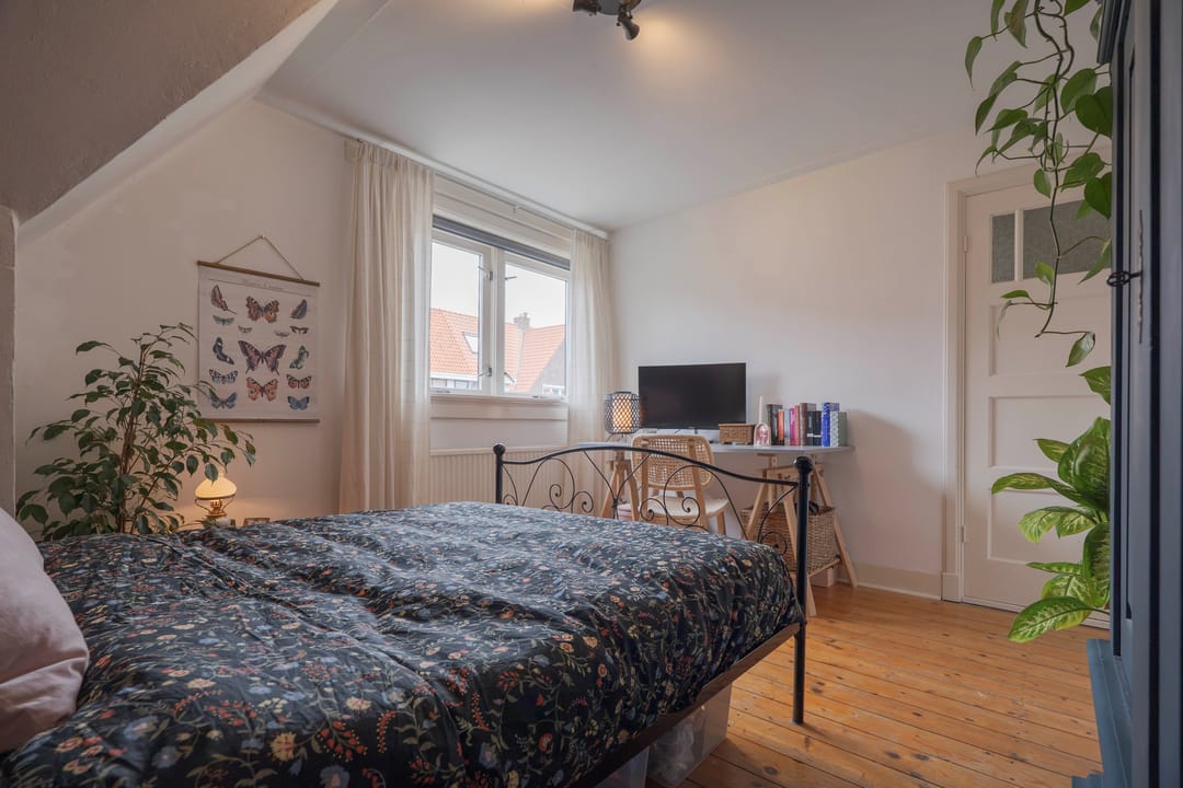 Foto 41 van Obrechtstraat 29