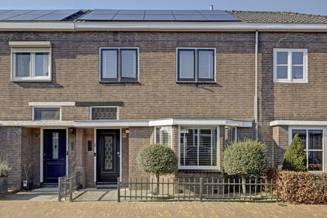 Koestraat thumbnail