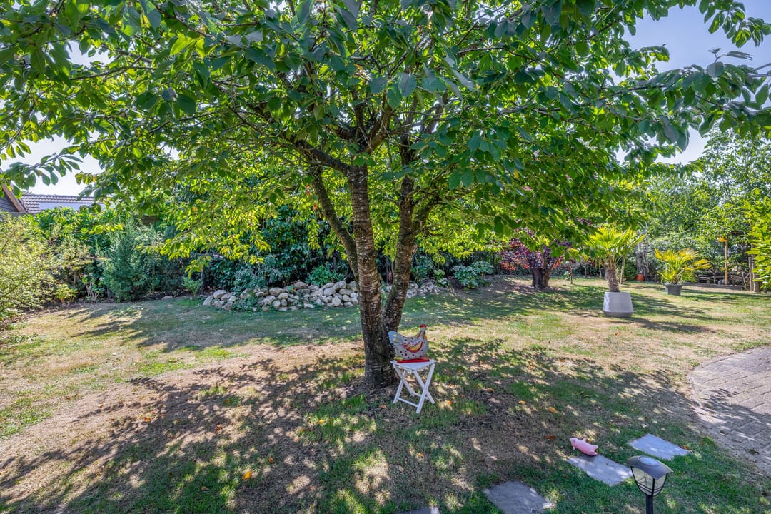 Photo 31 of Haarweg 19