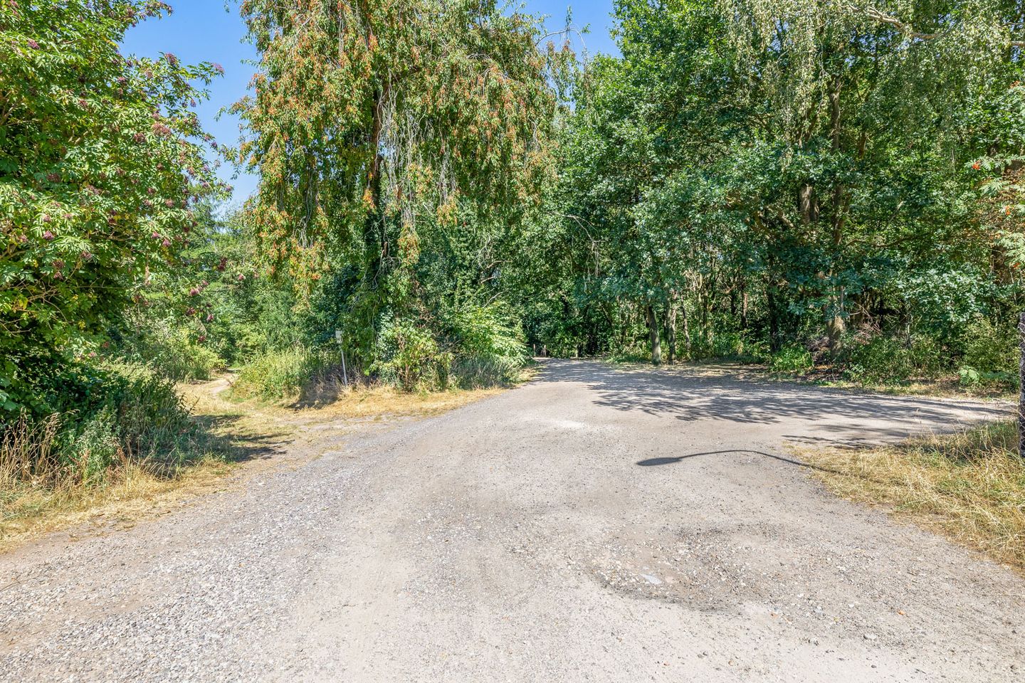 Photo 59 of Haarweg 19