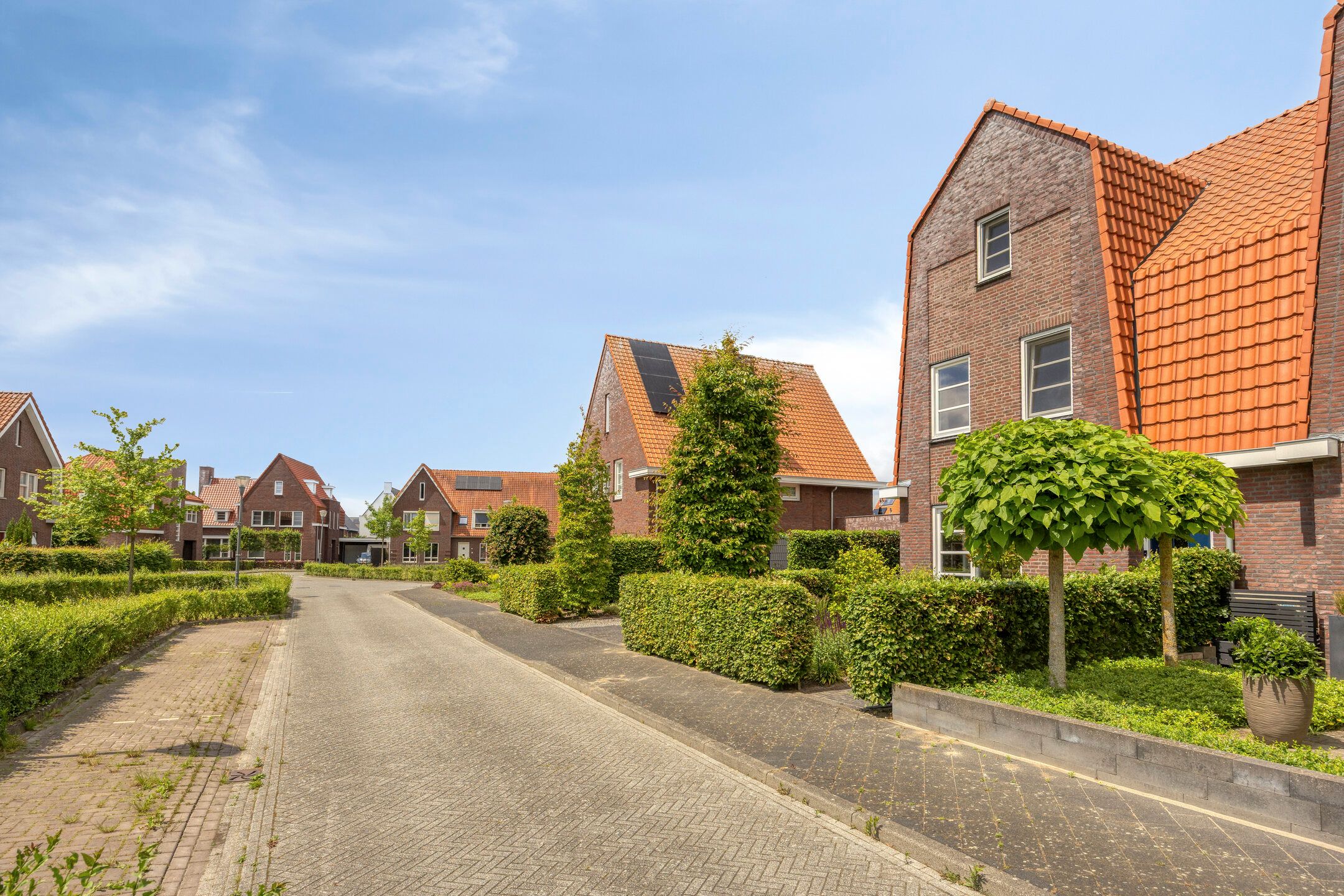 Photo 9 of Ter Boort 15