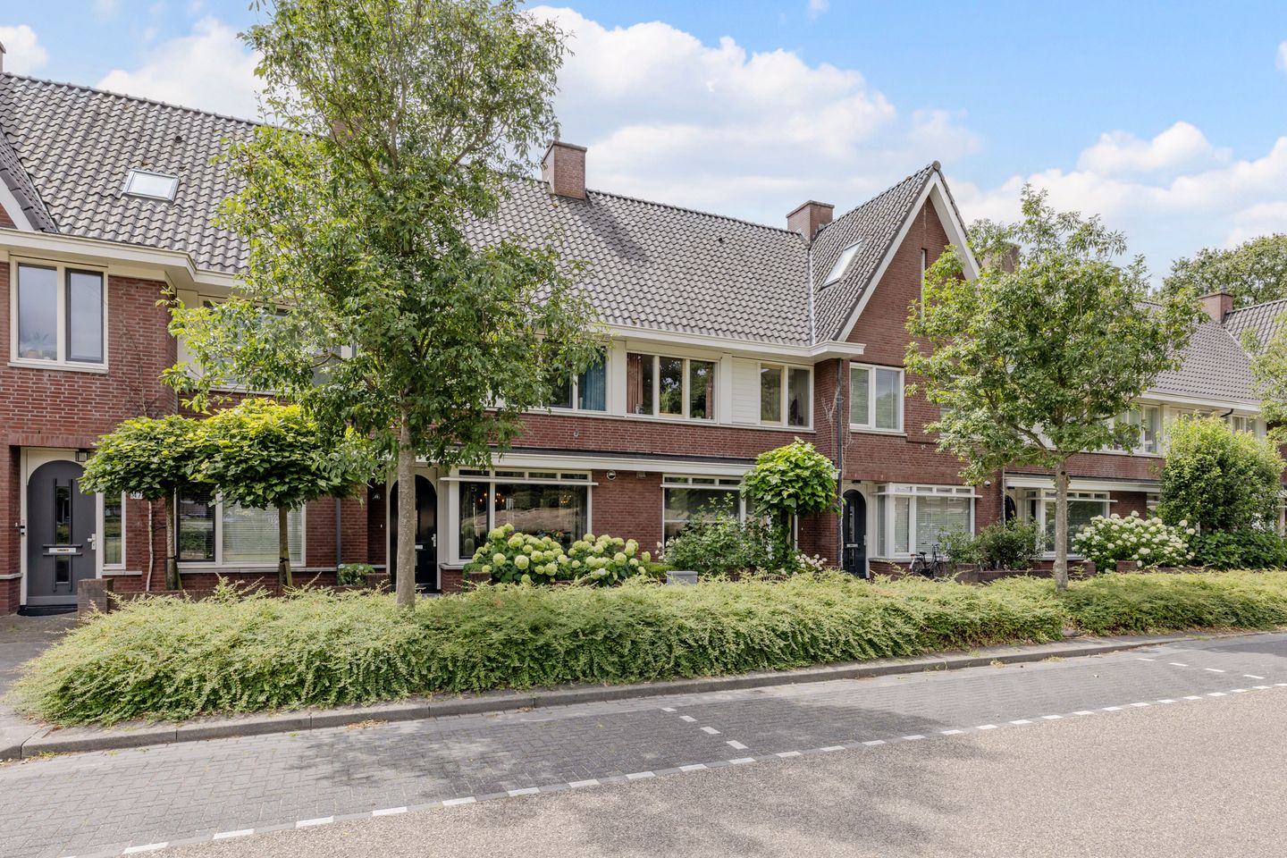 Foto 4 van Parelmoervlinder 49