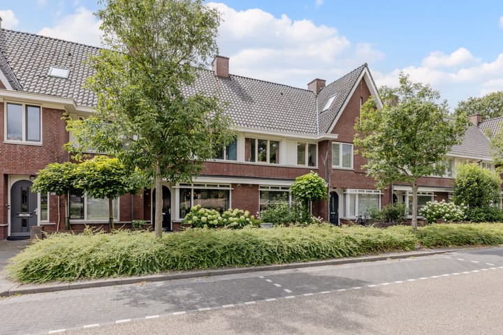 Foto 4 van Parelmoervlinder 49