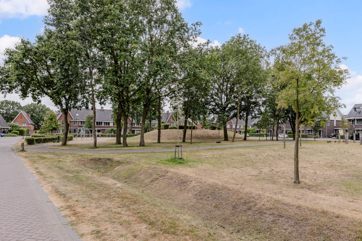 Foto 44 van Parelmoervlinder 49