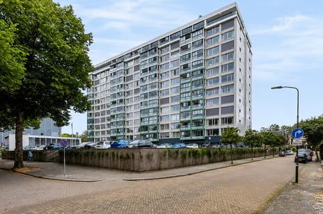 Loolaan thumbnail