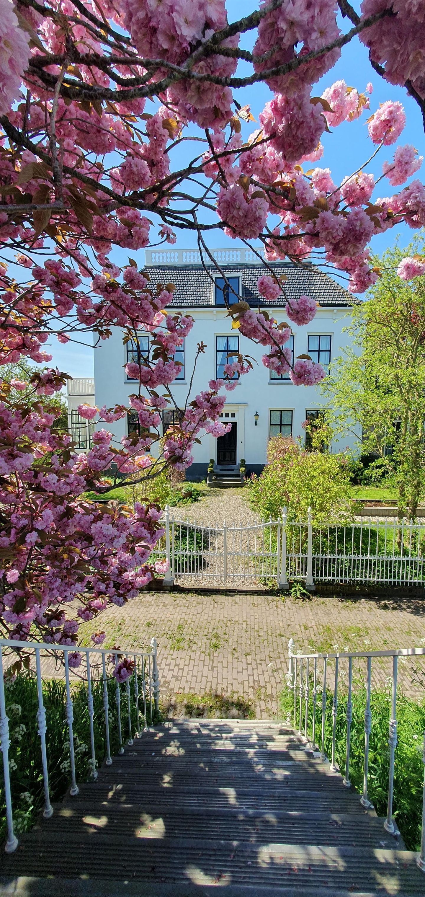 Photo 5 of Noorddijk 23