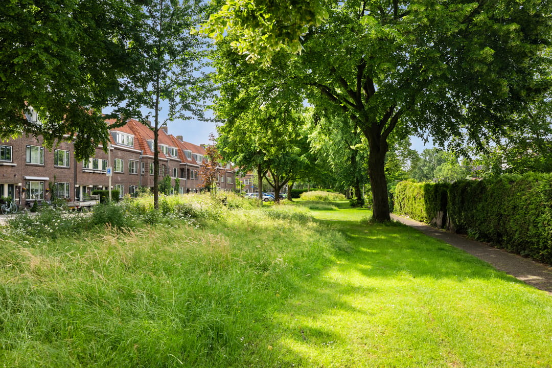Photo 28 of Merwedeplantsoen 49