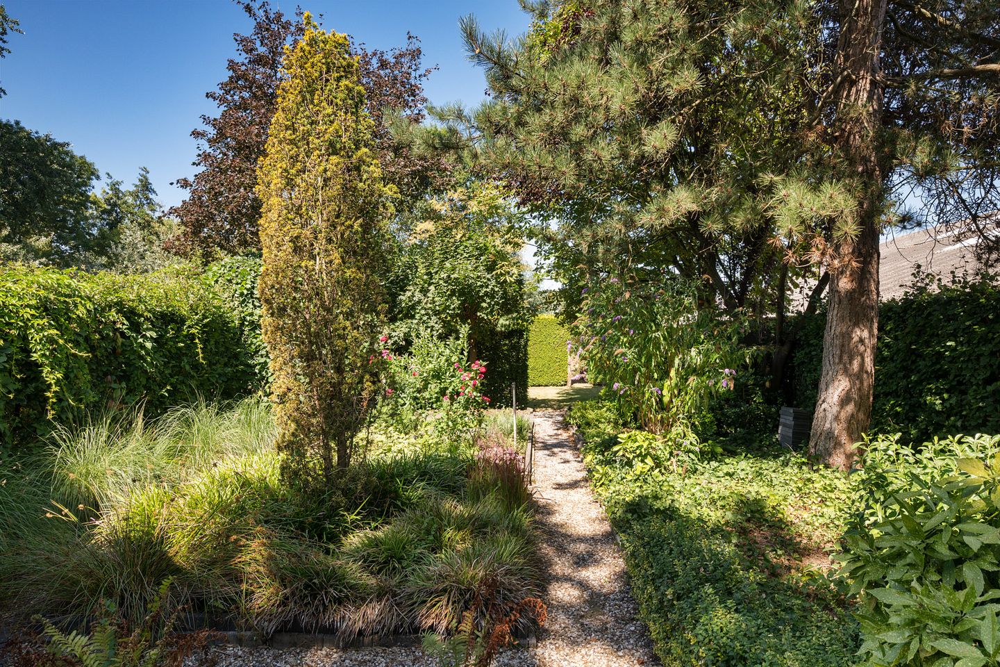 Foto 40 van Maasbommelsestraat 36