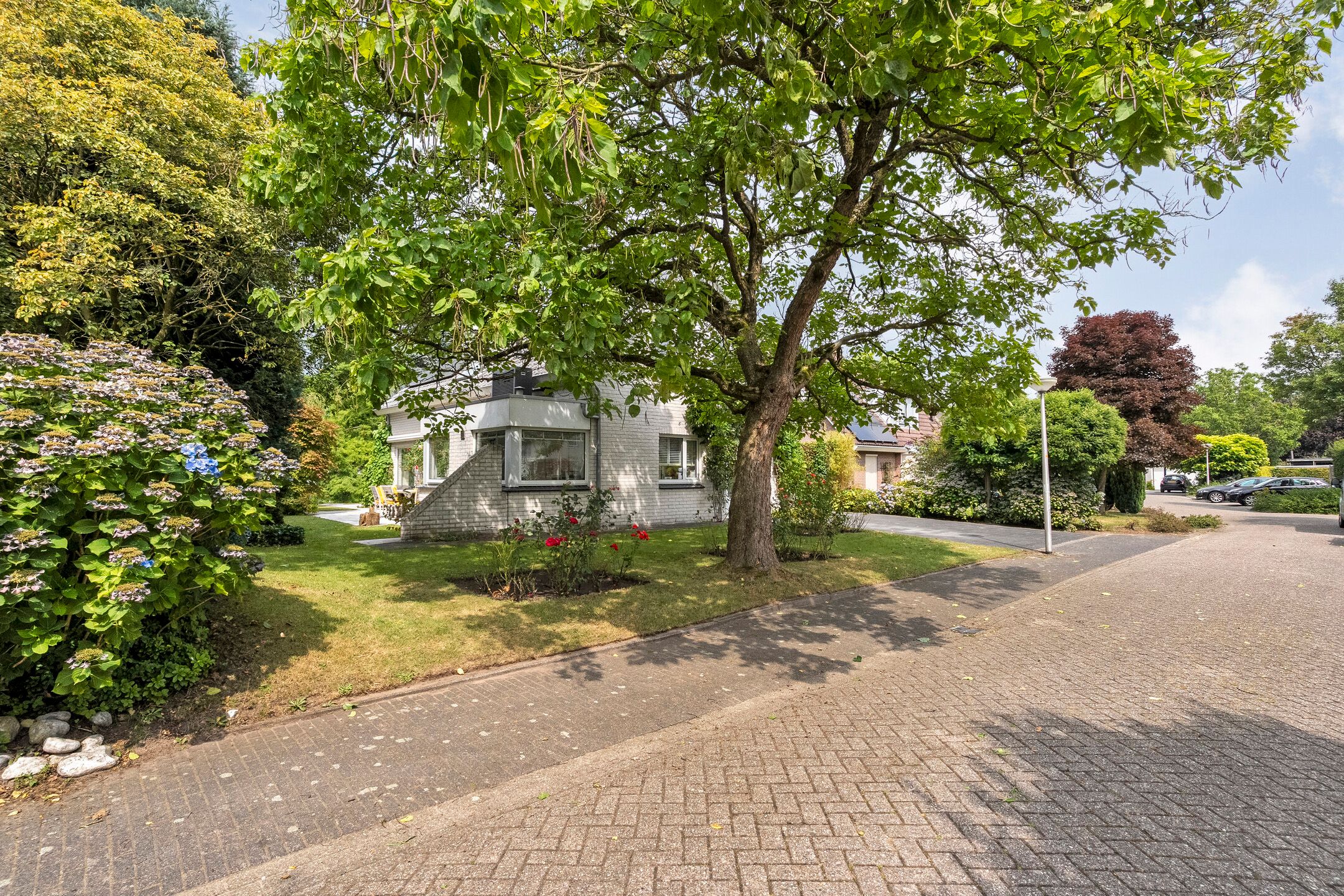 Photo 9 of Goudplevier 14