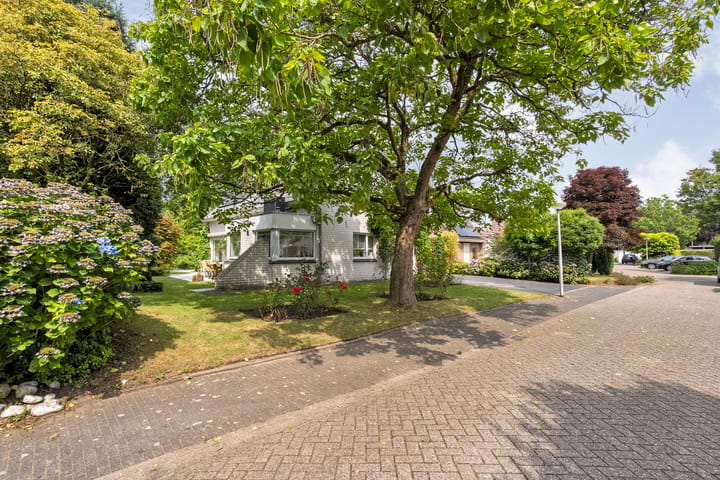 Vrijstaande woning te koop: Goudplevier 14, Raalte