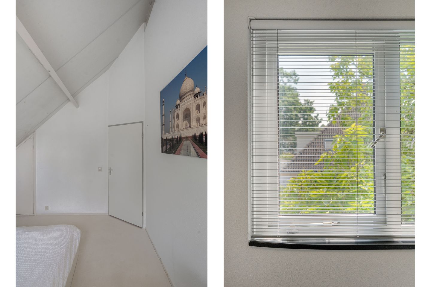 Photo 40 of Goudplevier 14