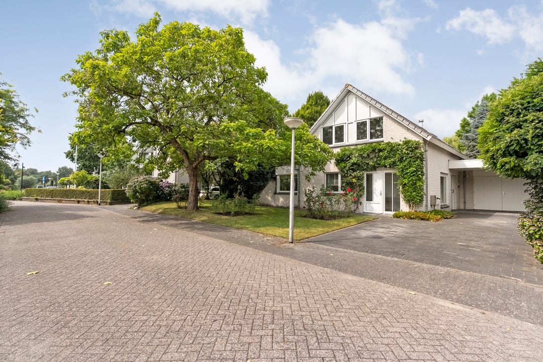 Photo 7 of Goudplevier 14