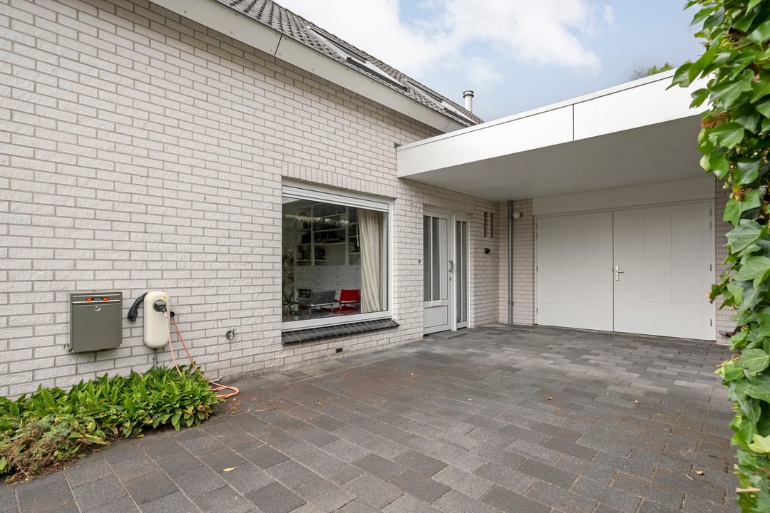 Photo 11 of Goudplevier 14