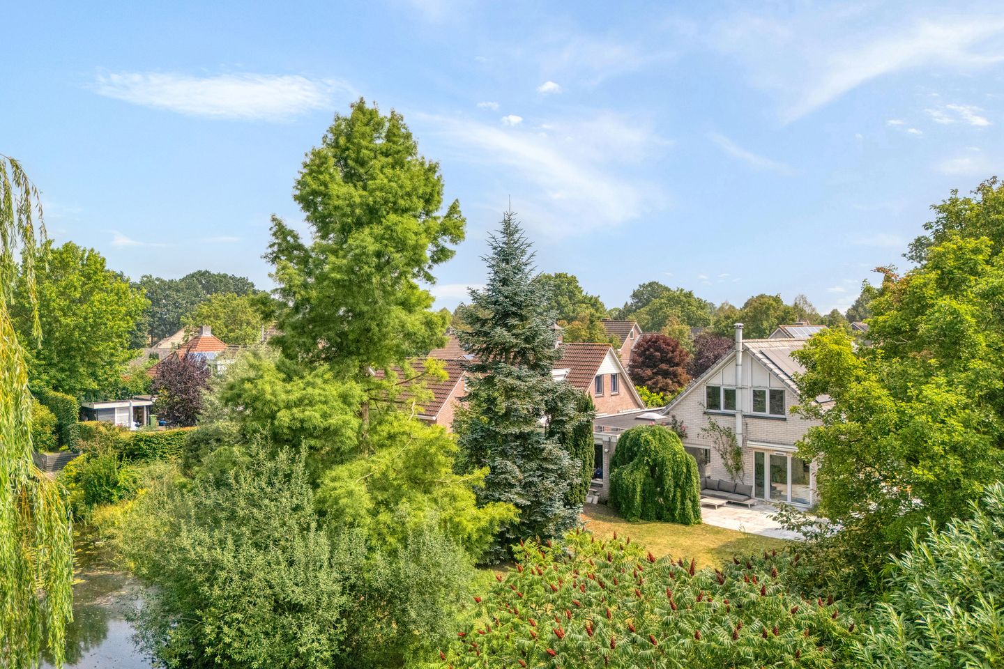 Photo 5 of Goudplevier 14