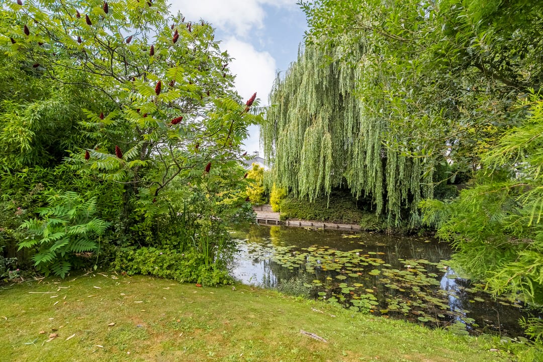 Photo 53 of Goudplevier 14