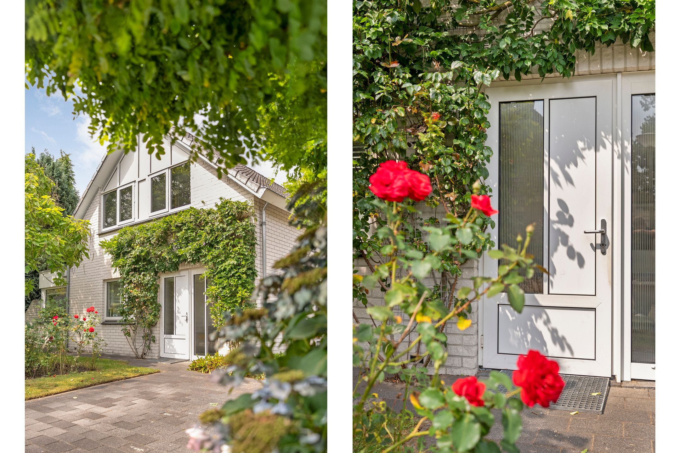 Photo 12 of Goudplevier 14