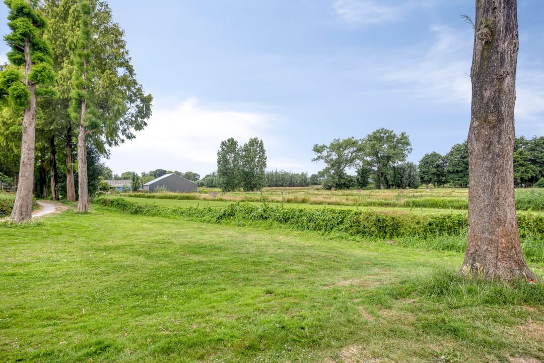 Foto 46 van Rietgors 48