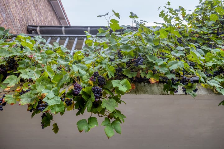 Tussenwoning te koop: Josef Israëlslaan 155, Arnhem