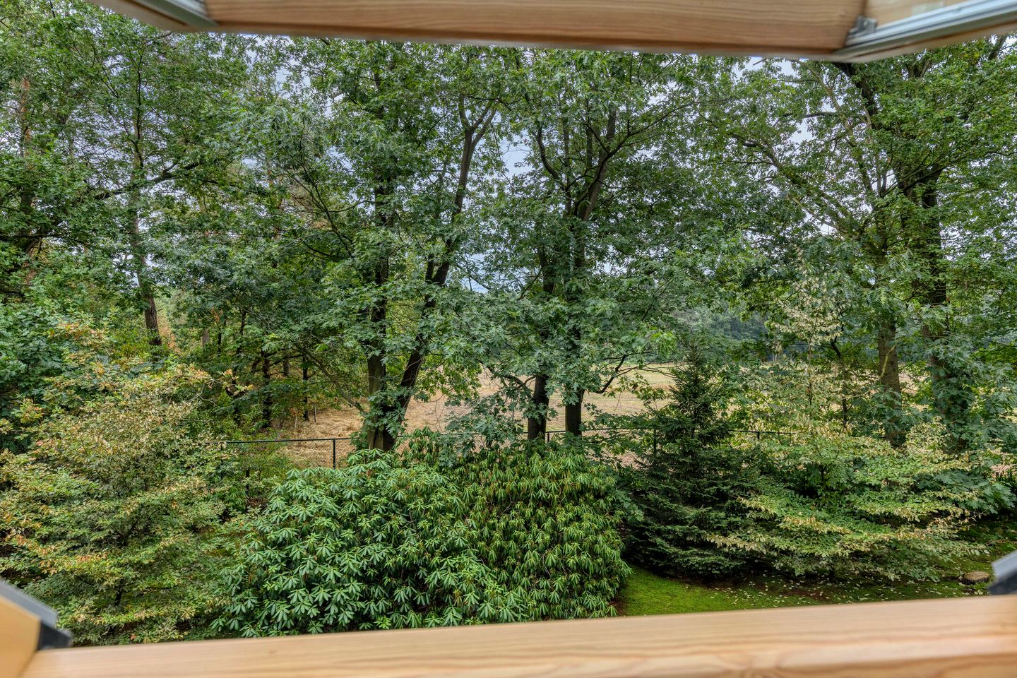 Photo 19 of Vianenweg 160-14