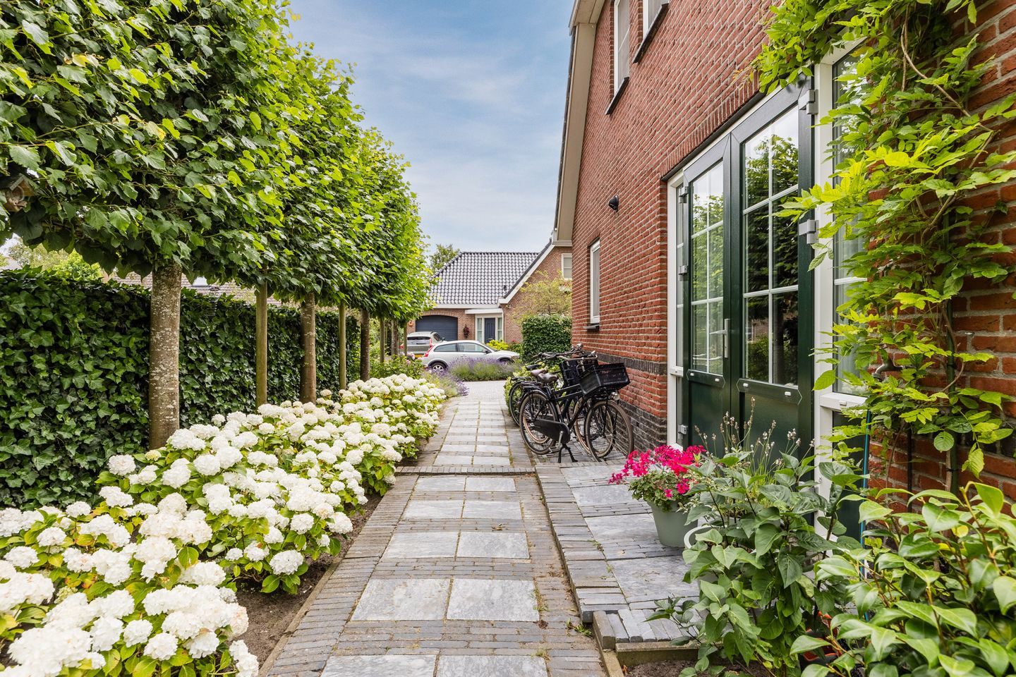 Foto 44 van Zeekraal 23