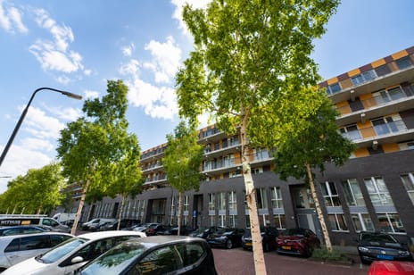 Klaas Katerstraat thumbnail