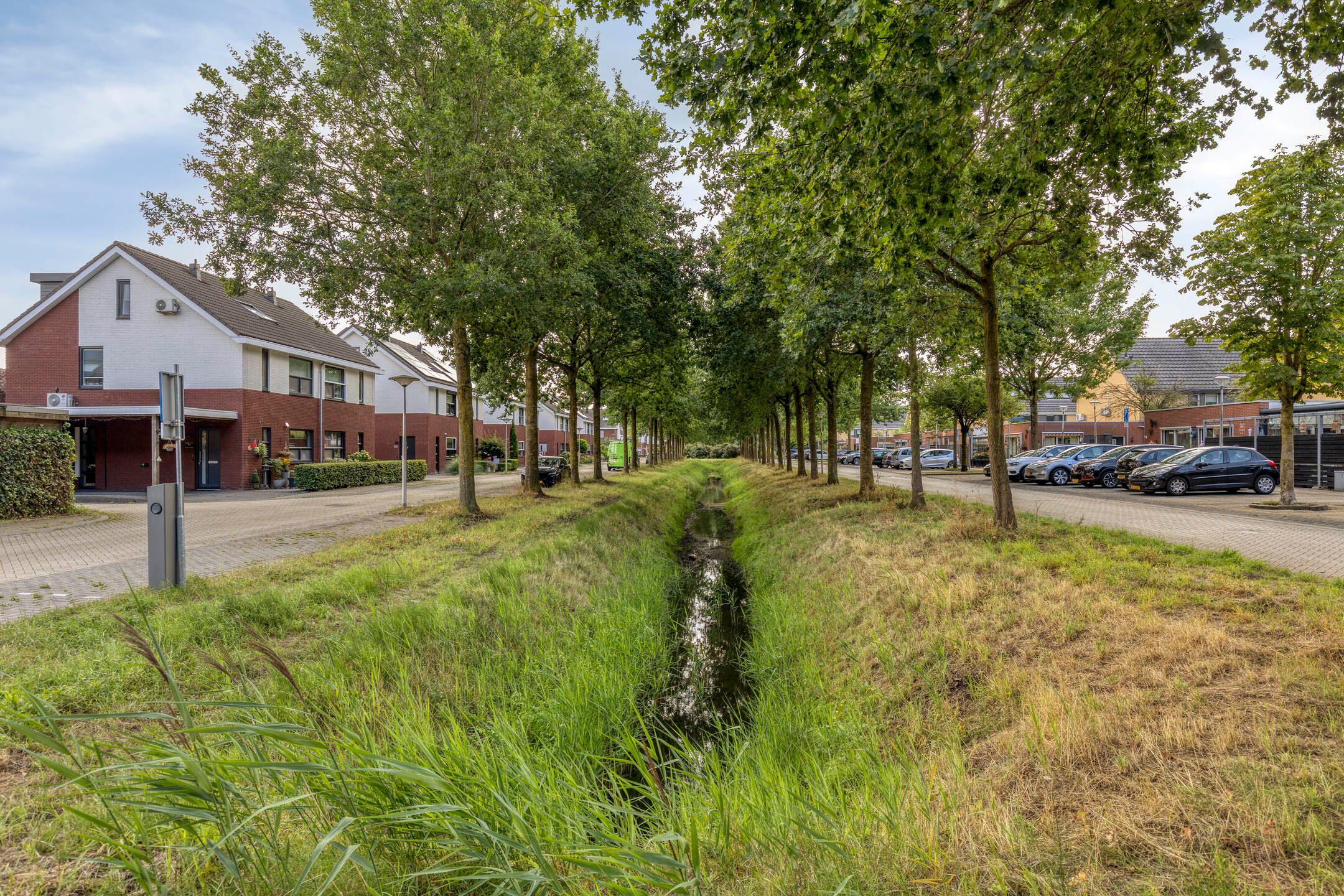 Photo 30 of Avondroodvlinder 1-A