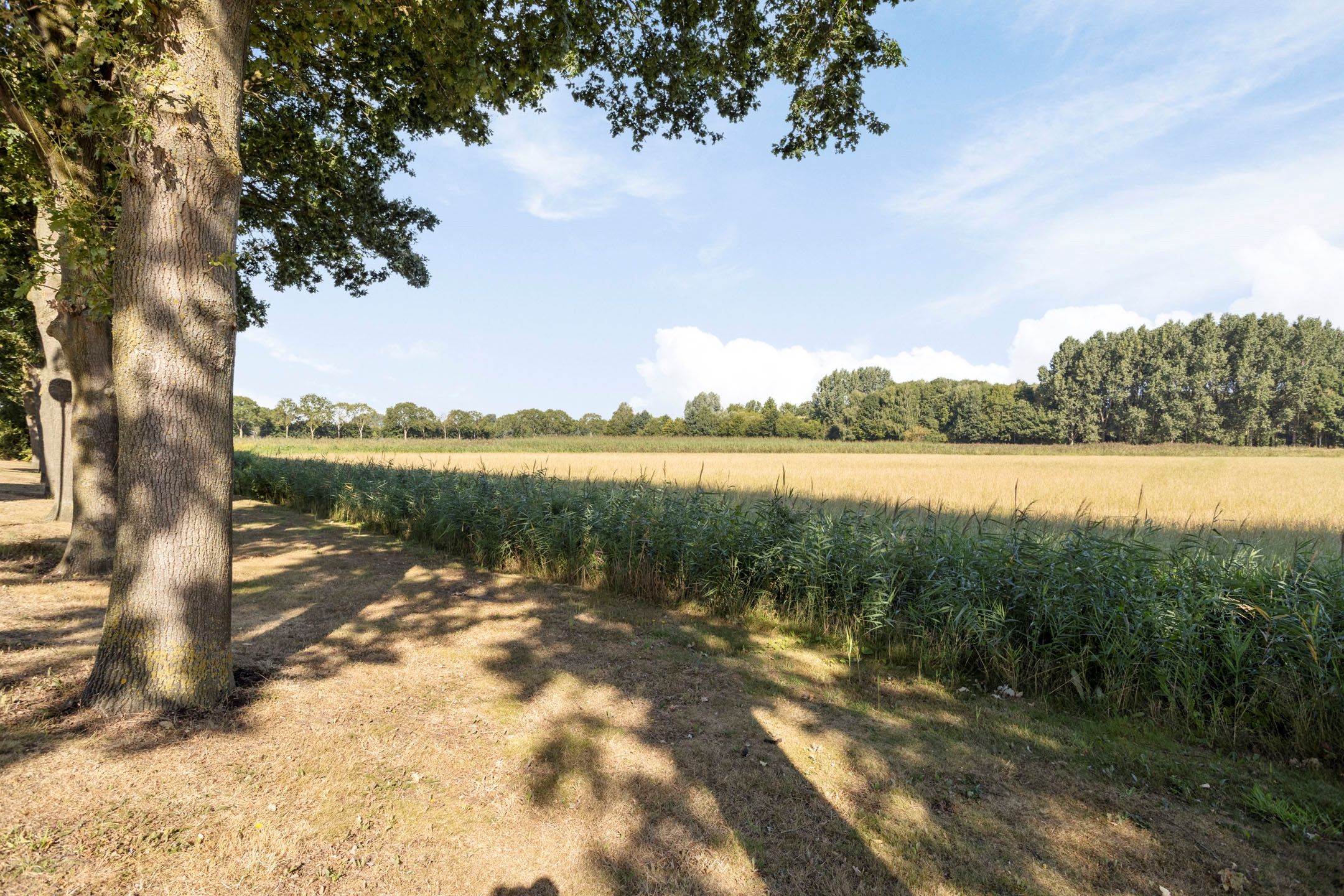 Photo 39 of Het Jagertje 16