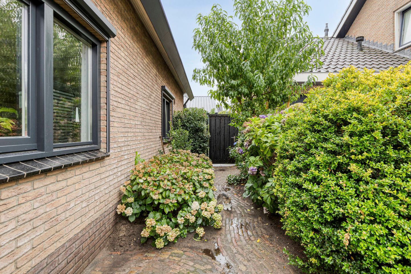 Foto 10 van Broekhuizenstraat 25