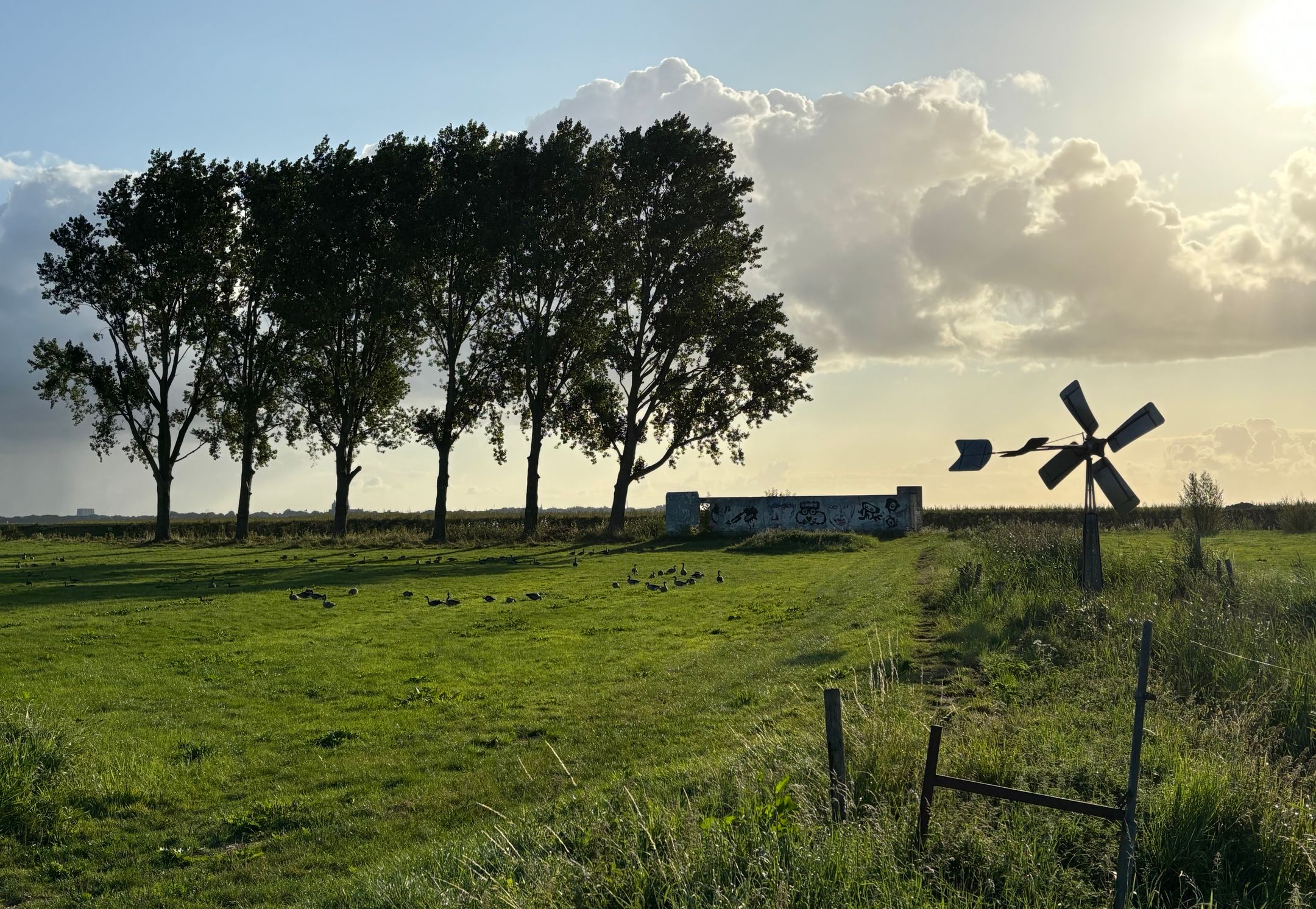 Photo 63 of Scharwoude 7