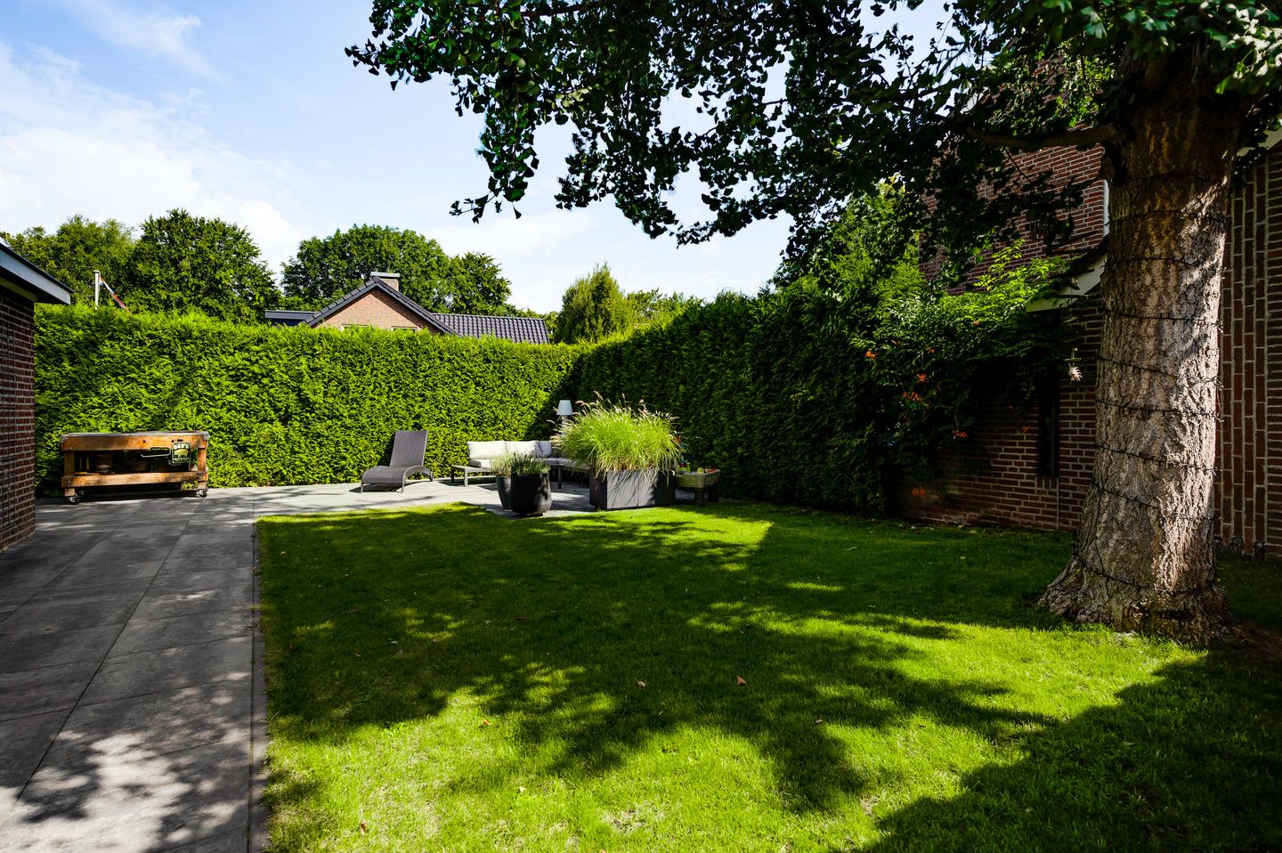 Photo 25 of Langen Dries 24