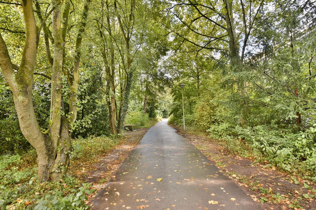 Photo 22 of Leusdenhof 255