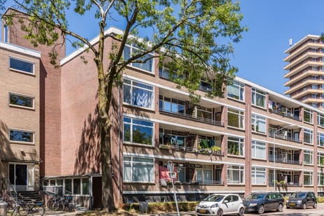 Thorbeckestraat thumbnail